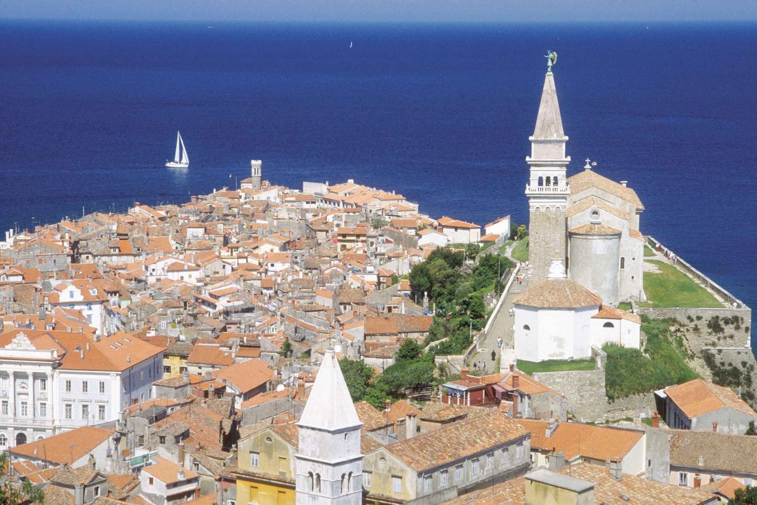 From Ljubljana: Lipica Stud Farm and Piran Full-Day Tour