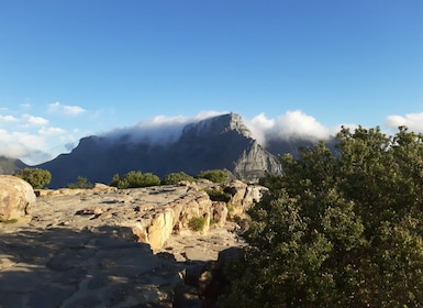Cape Town: Guidet vandretur i solnedgangen ved Lion's Head på fransk