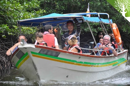 Langkawi: Ganztägige Mangroven-Safari Bootstour mit Mittagessen