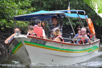 Langkawi: 5-stündige Kilim Mangroven Bootstour mit Mittagessen und Abholung