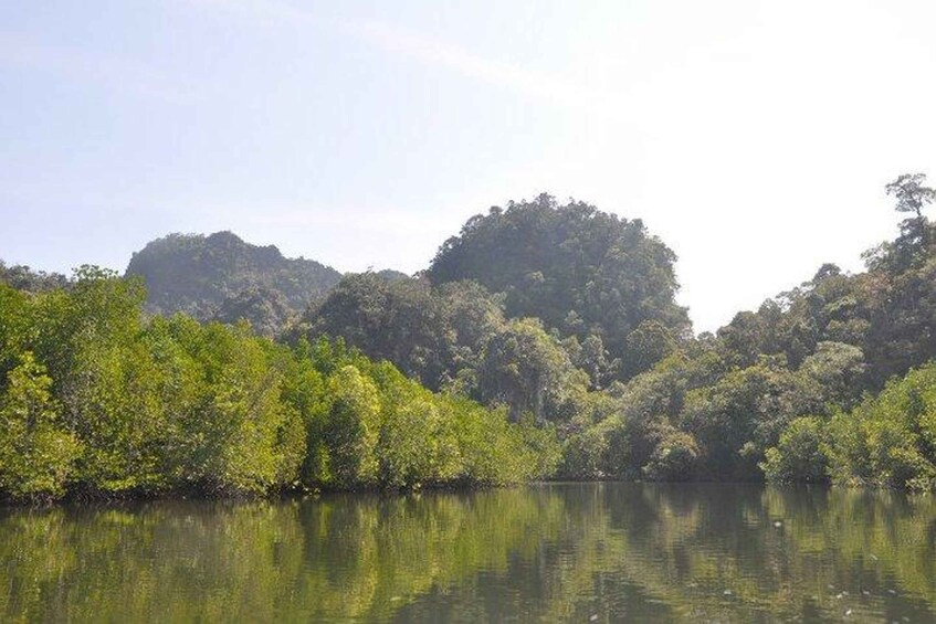 Picture 1 for Activity Langkawi: Full-Day Mangrove Safari Boat Tour with Lunch