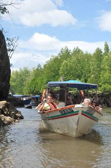 Picture 2 for Activity Langkawi: Full-Day Mangrove Safari Boat Tour with Lunch