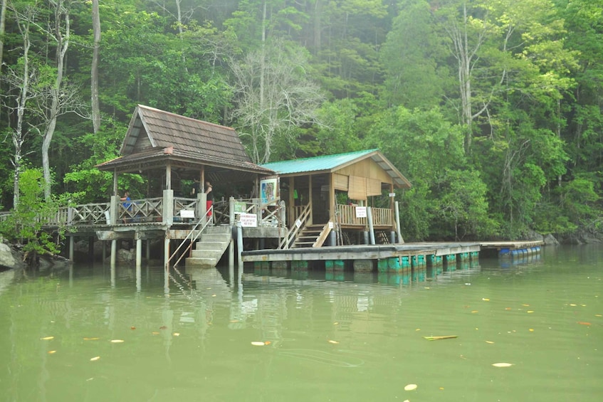 Picture 21 for Activity Langkawi: Full-Day Mangrove Safari Boat Tour with Lunch