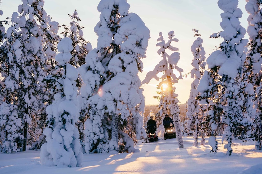 Picture 11 for Activity Rovaniemi: Ice Fishing & Snowmobile Safari Combo Day