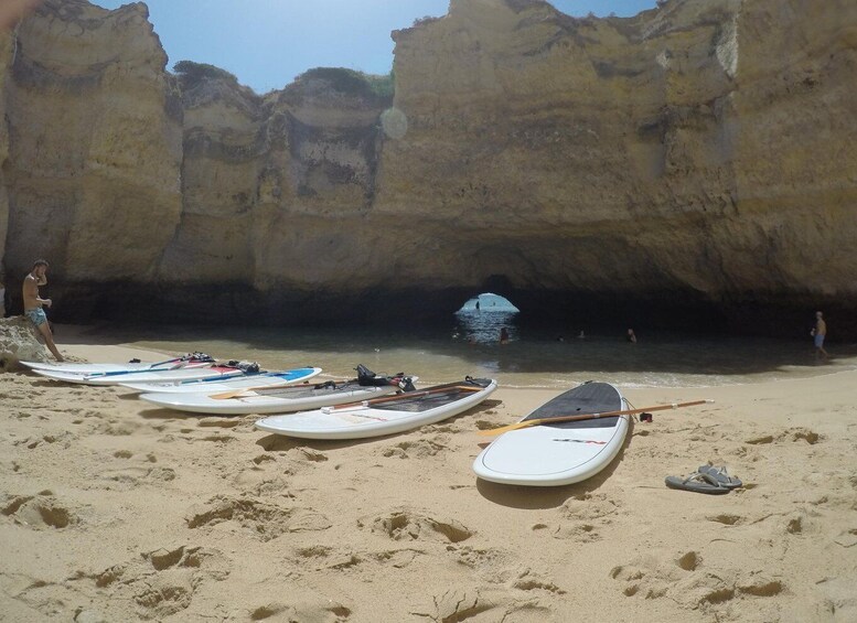 Picture 5 for Activity Albufeira: Praia da Coelha Standup Paddleboard Tour