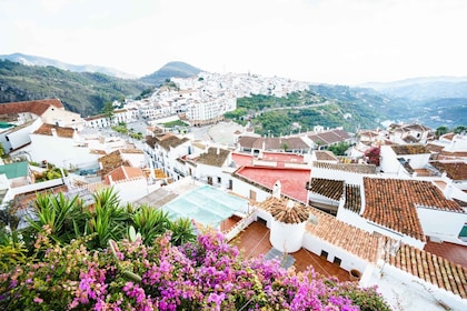 Excursión de un día a Frigiliana y Nerja desde Granada