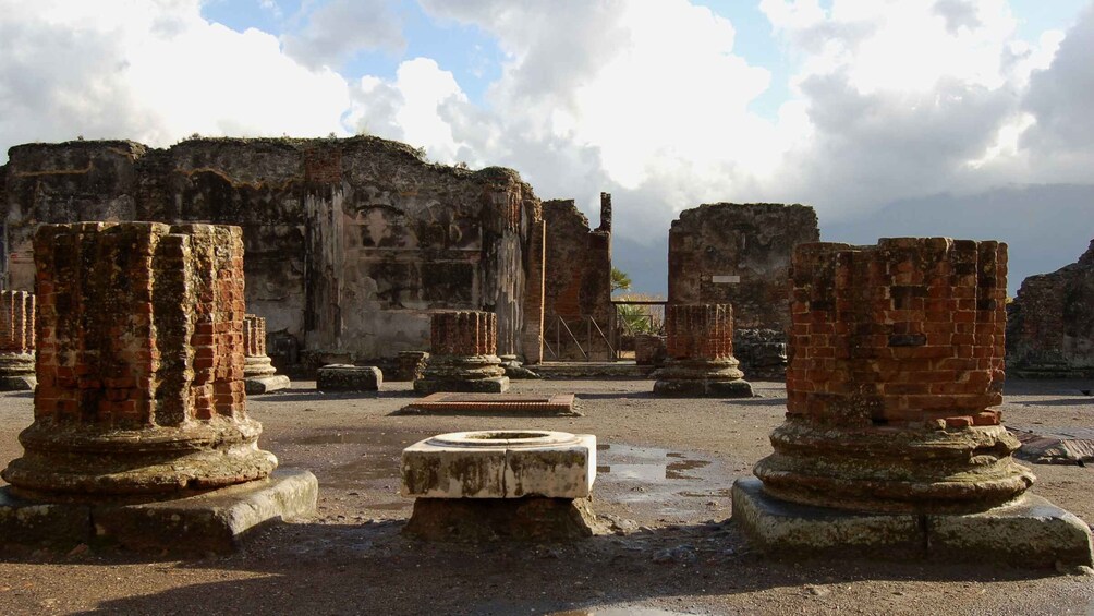 From Sorrento: Herculaneum and Pompeii Group Excursion