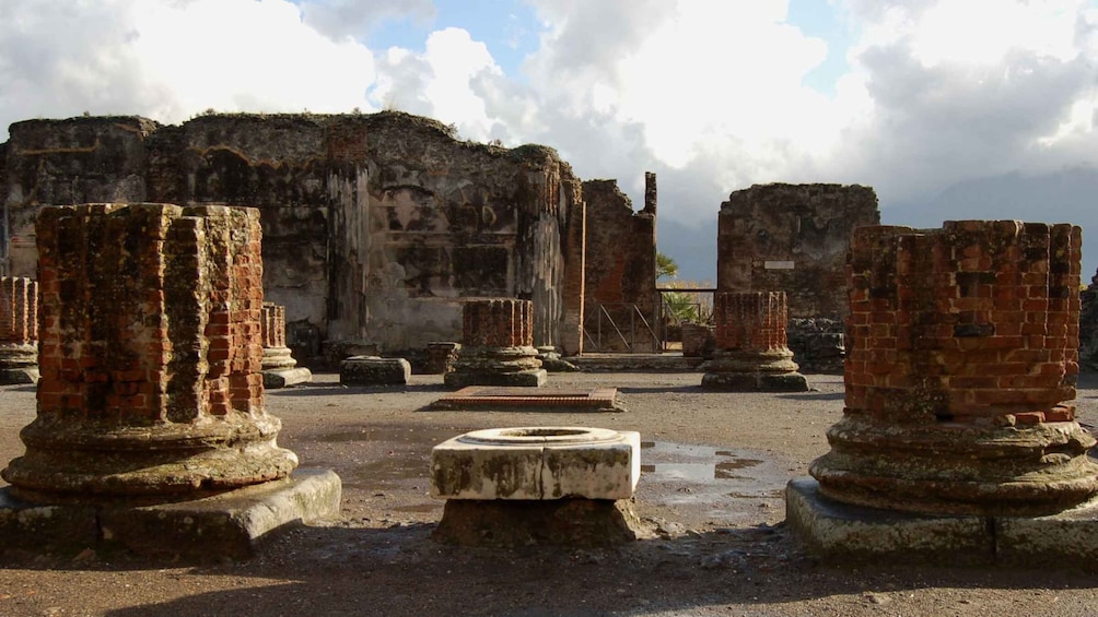 Herculaneum and Pompei group excursion from Sorrento