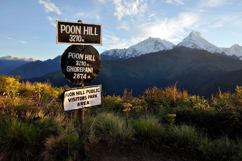 Picture 3 for Activity From Pokhara: 4-Day Ghorepani and Poon Hill Trek