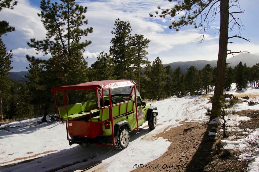 Picture 1 for Activity Estes Park: Rocky Mountain National Park Safari Tour