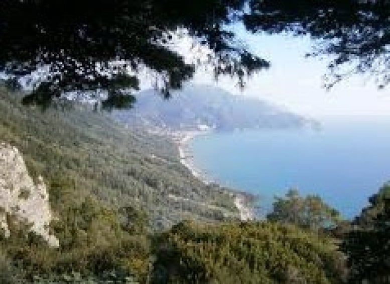 Picture 6 for Activity Private Corfu Full-Day Wine Tasting Shore Excursion