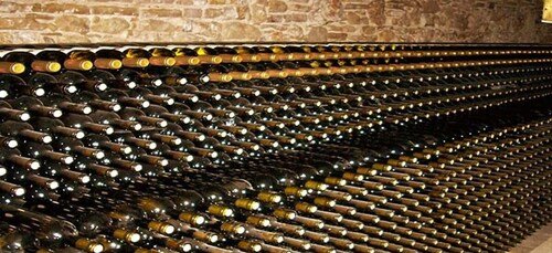 Excursión privada a la costa con degustación de vinos en Corfú