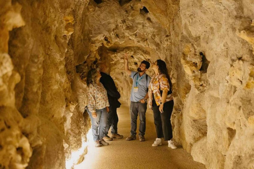 Picture 3 for Activity Sintra: Quinta da Regaleira Entry Ticket and Guided Tour