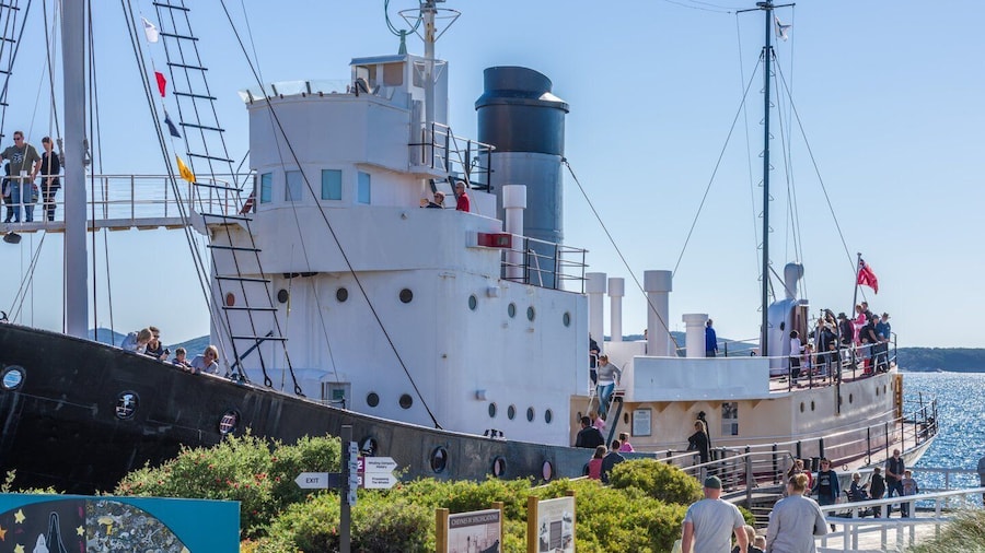 Albany: Albany's Historic Whaling Station Entry Ticket
