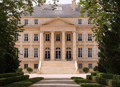 Dari Bordeaux: Tur Anggur Pribadi di Medoc