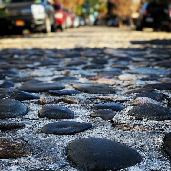 Picture 4 for Activity Charleston: Walking History and Bar Tour