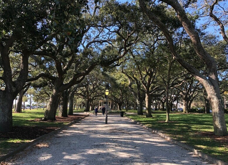 Picture 1 for Activity Charleston: Walking History and Bar Tour