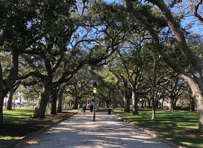 Picture 1 for Activity Charleston: Walking History and Bar Tour