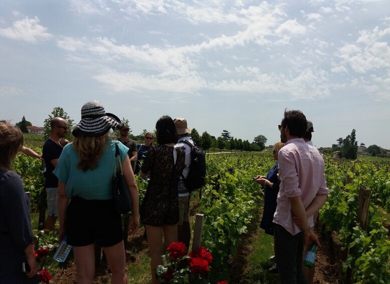 Picture 3 for Activity From Bordeaux: Saint-Emilion wine tour half-day