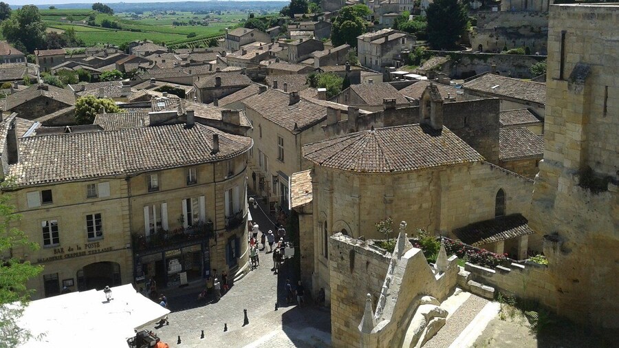 From Bordeaux: Saint-Emilion wine tour half-day