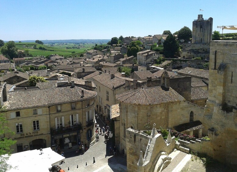 From Bordeaux: Saint-Emilion wine tour half-day