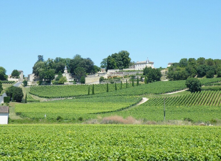 Picture 1 for Activity From Bordeaux: Saint-Emilion wine tour half-day