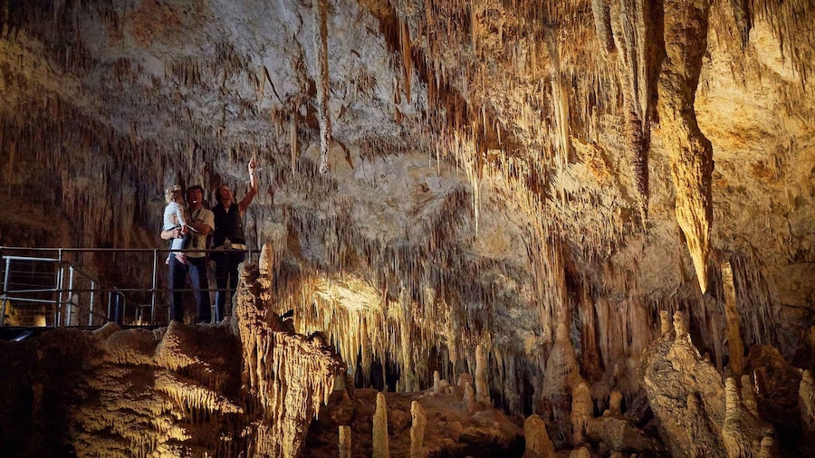Margaret River: Self-Guided Audio Tour of Mammoth Cave