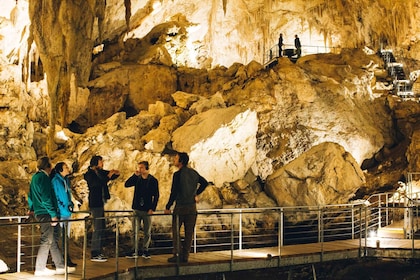 Margaret River : Visite audioguidée de la Mammoth Cave