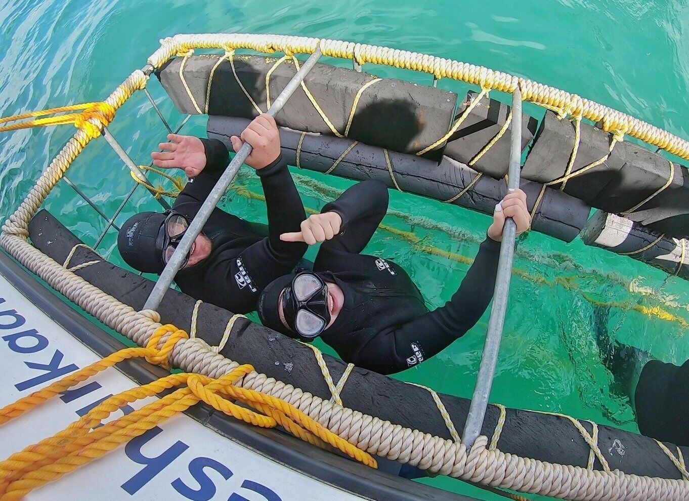 Gansbaai: Shark Cage Diving and Shark Viewing Boat Trip