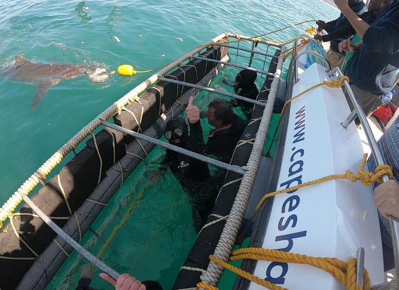 Picture 7 for Activity Kleinbaai: Shark Viewing Boat Trip with Shark Cage Diving