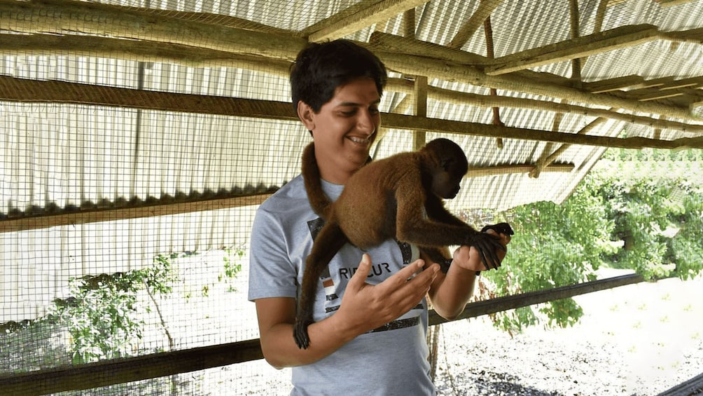 Picture 7 for Activity Iquitos: 6-Hour Wonderful Wildlife Guided Tour