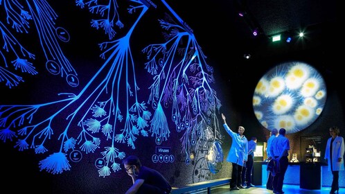 Amsterdam: ARTIS-Micropia Mikrobenmuseum Eintrittskarte