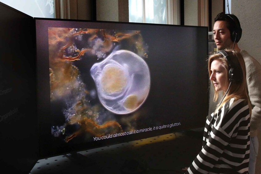 Picture 9 for Activity Amsterdam: ARTIS-Micropia Microbe Museum Entry Ticket