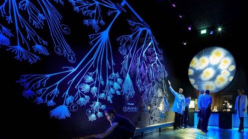 Ámsterdam: entrada al Museo de Microbios Artis-Micropia