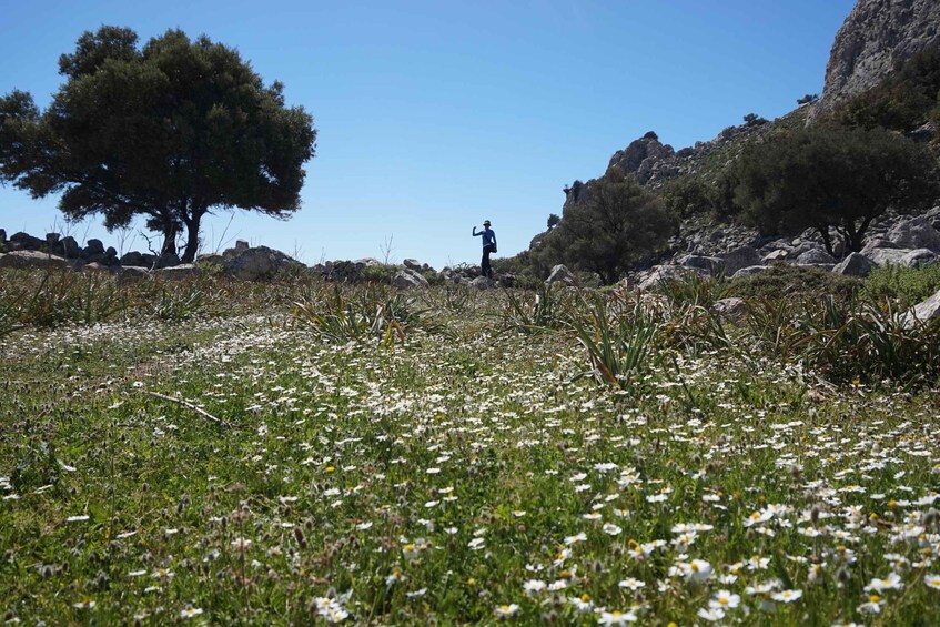 Picture 3 for Activity Hiking Tour Exploring Lindos