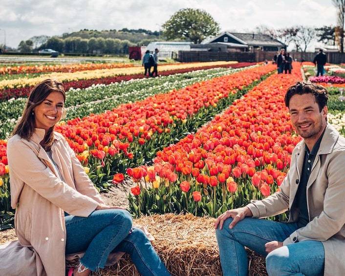 Picture 18 for Activity Lisse: Tulip Experience Ticket with Museum & Flower Picking