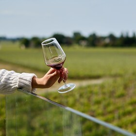 Desde Burdeos: tour privado de vinos a Saint-Émilion