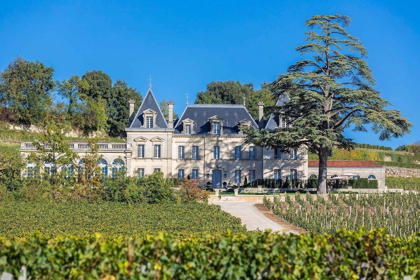 From Bordeaux: Private Wine Tour to Saint-Émilion