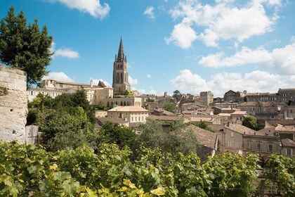 Desde Burdeos: tour privado de vinos a Saint-Émilion