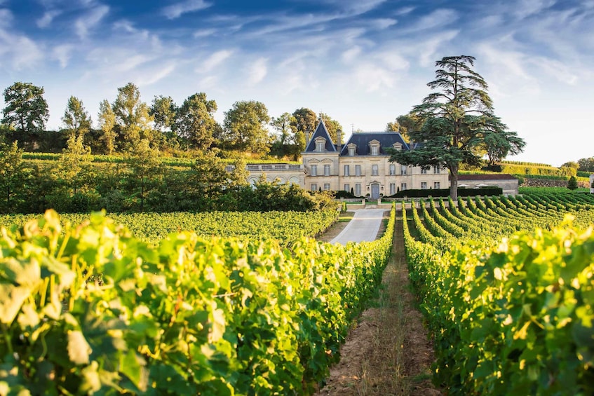 From Bordeaux: Private Wine Tour to Saint-Émilion