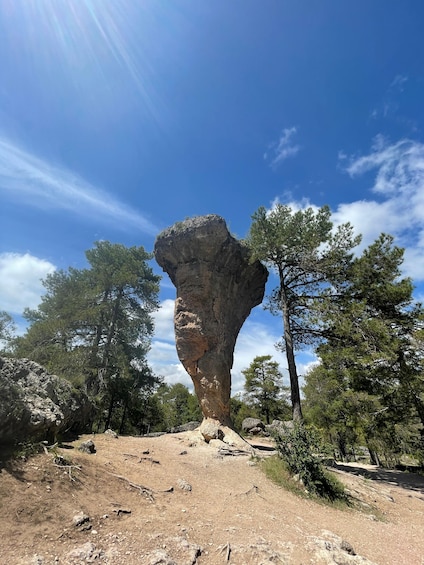 Picture 19 for Activity Madrid: Day Trip to Cuenca with Cathedral or Enchanted City