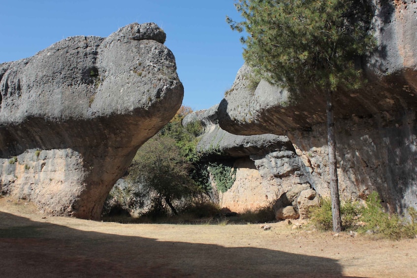 Picture 8 for Activity Madrid: Day Trip to Cuenca with Cathedral or Enchanted City