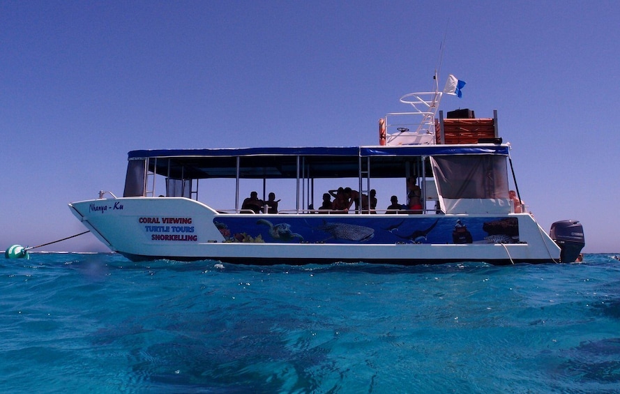 Coral Bay: 2-Hour Coral Viewing and Snorkeling