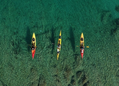 Split: kayak en el Parque Forestal de Marjan