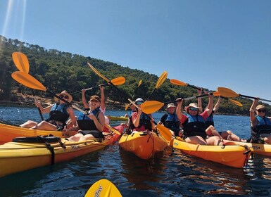 Split: Guidet tur i havkajakk med snorkling