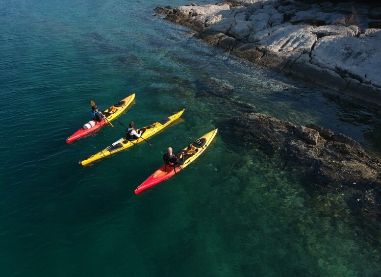 Picture 14 for Activity Split: Marjan Forest Park Kayaking