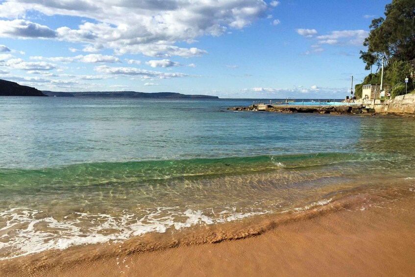 Sydney: Northern Beaches and Ku-ring-gai National Park Tour