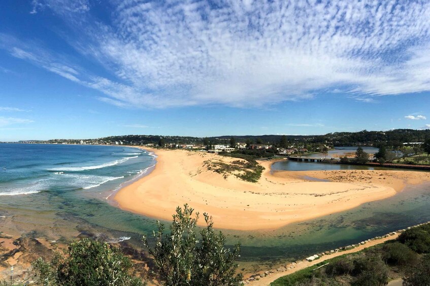 Picture 4 for Activity Sydney: Northern Beaches and Ku-ring-gai National Park Tour