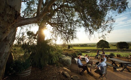 Adelaide: Barossa Valley Hop-on Hop-off Tour