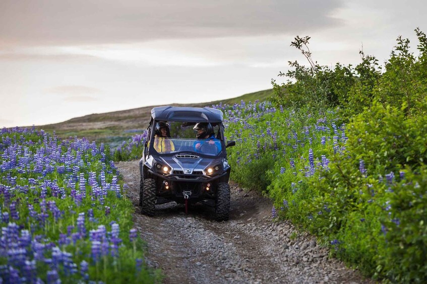 Picture 3 for Activity Reykjavik: Buggy Safari Tour with Hotel Transfers